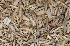 biomass boilers Elsecar